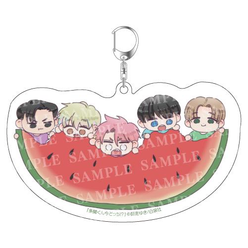 3月上旬より発送予定 / 新品 特典あり 多聞くん今どっち!? (1-14巻 最