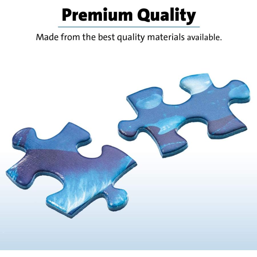 ジグソーバズル 海外製 18000ピース プレミアムパズル アット・ザ