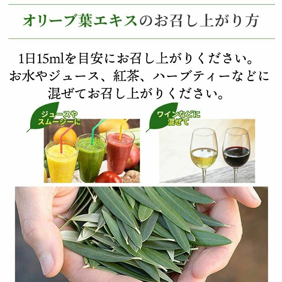 オリーブ葉エキス 500ml 2本セット コンビタ 天然ポリフェノール 自社
