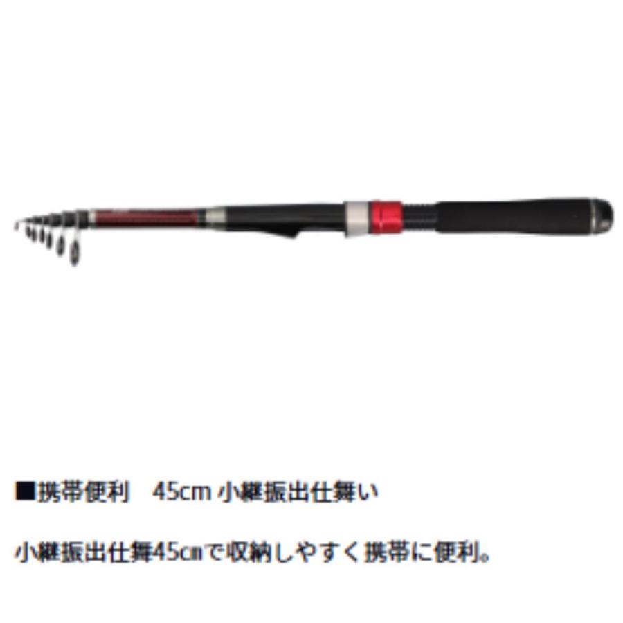 DAIWA（ダイワ） リバティクラブ ライトパック 30-210・K 釣り竿