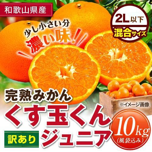 完熟みかん くす玉くんジュニア 2L以下 産地直送 訳あり 箱買い 和歌山