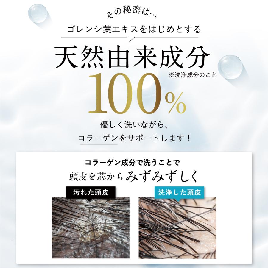 シャンプー 詰め替え パウチ【公式】 ノ・アルフレ あすなろわかさ