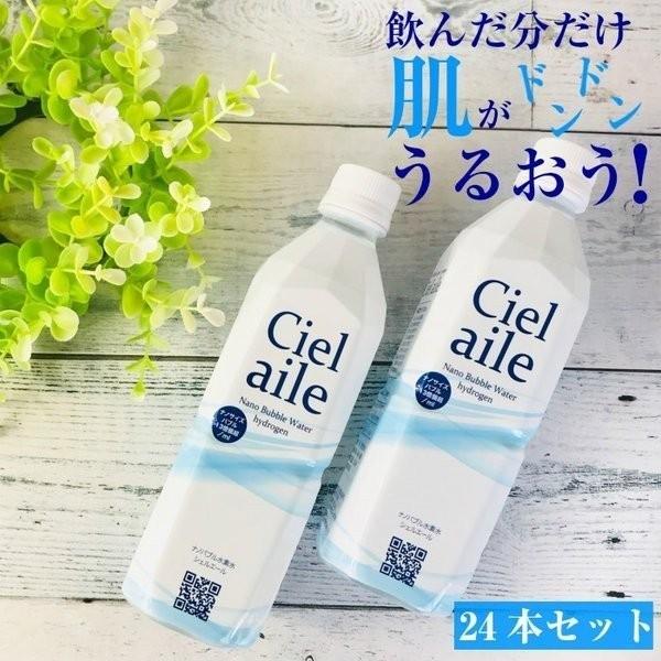 水 水素水 500ml 24本入 ナノバブル 国内 ミネラルウォーター シェル