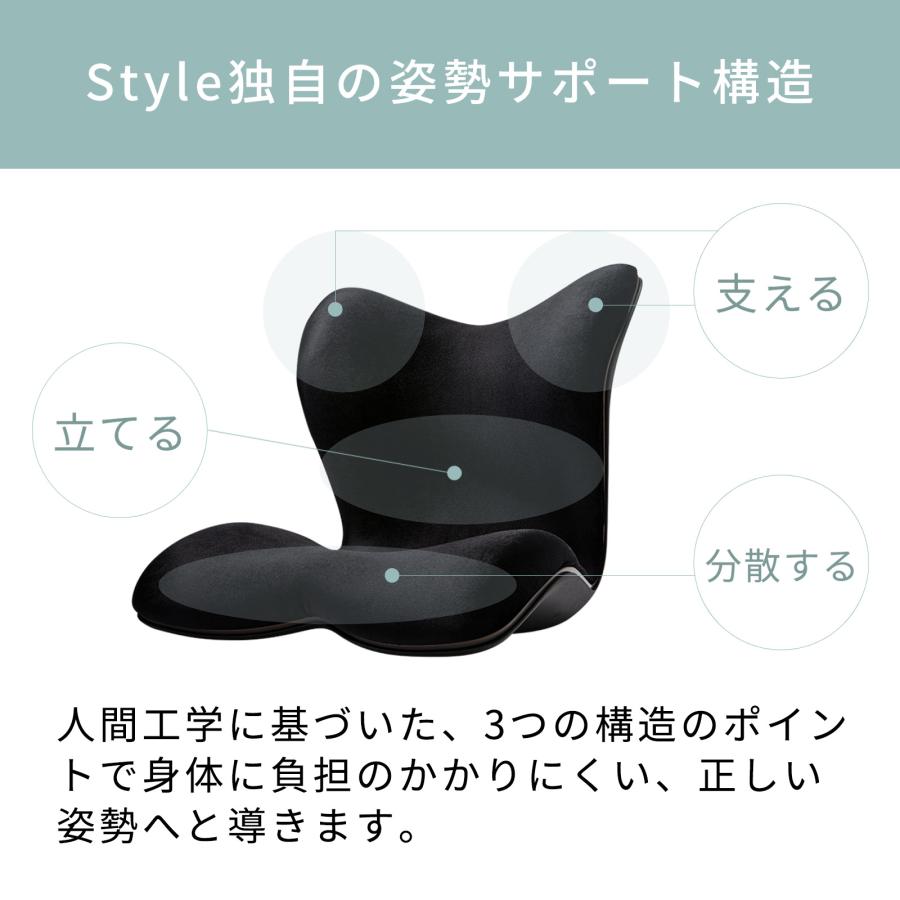 Style PREMIUM DX スタイルプレミアムデラックス ブラック Style