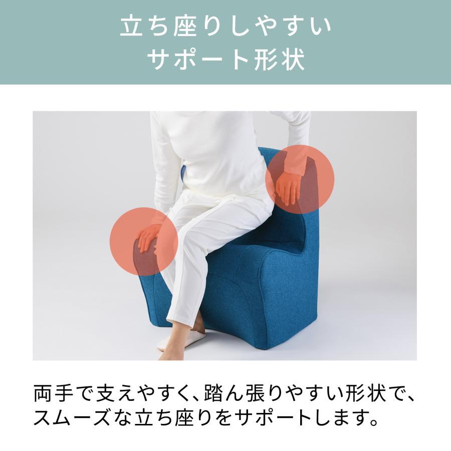 Style（スタイル） ○ポイント10倍！○ ドクターチェア プラス Style