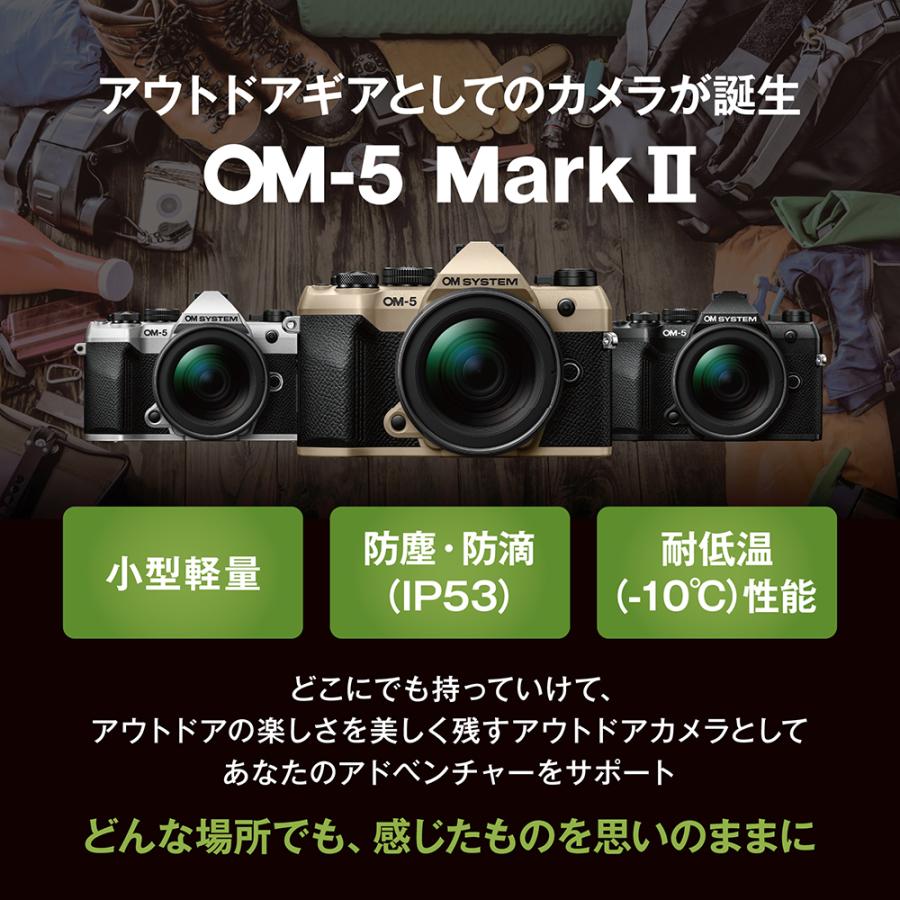 オリンパス（OLYMPUS） OM SYSTEM オーエムシステム 【純正スペア電池