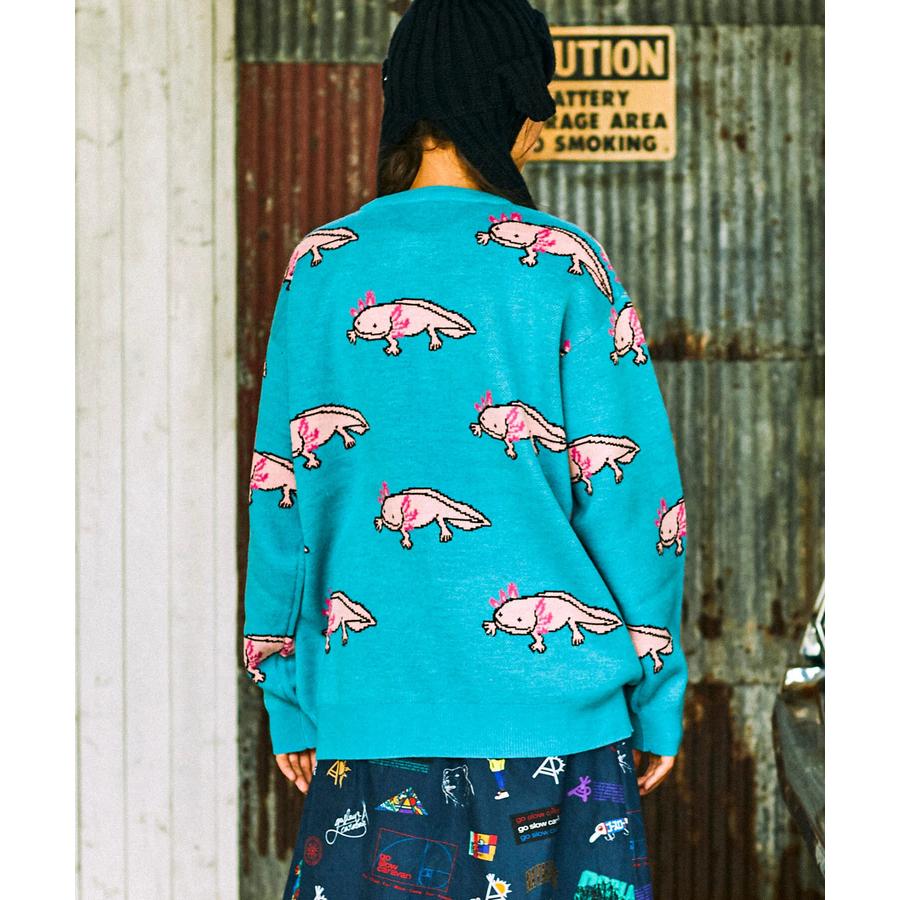 go slow caravan（ゴースローキャラバン） 【go slow caravan