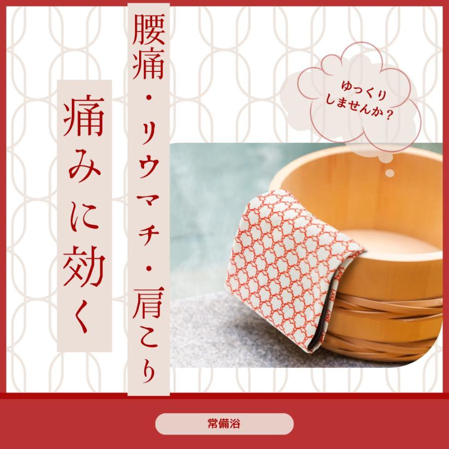 常備浴 富山常備薬 大容量400mL(20回分) 入浴剤 薬用入浴剤 温浴効果