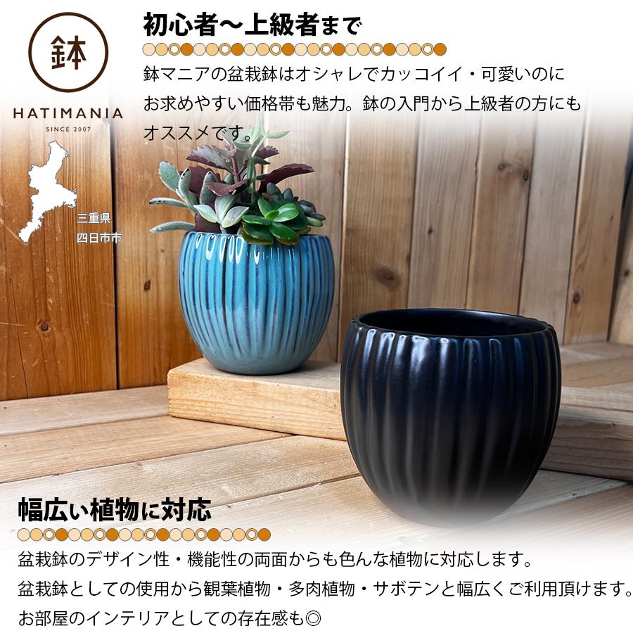 HATIMANIA 鉢マニア 丸縦筋鉢 4号 盆栽鉢 水が抜けやすい 小さい 小