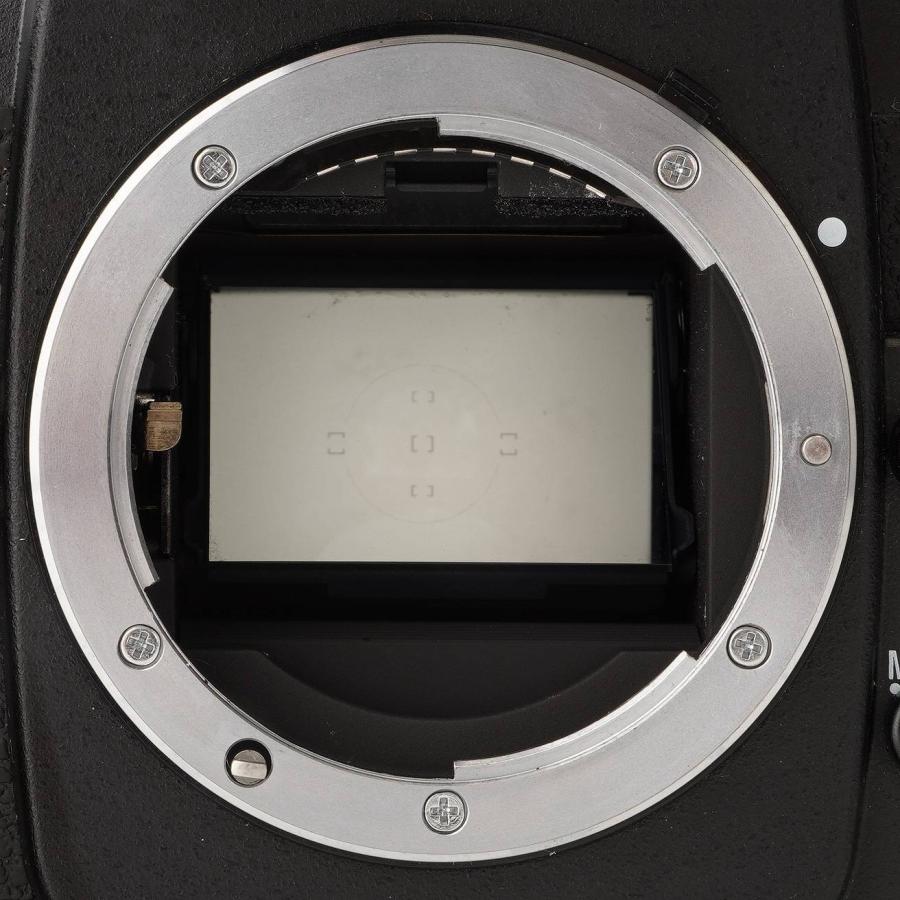 ニコン（Nikon） Nikon F100 ボディ 一眼レフカメラ : ナチュラル