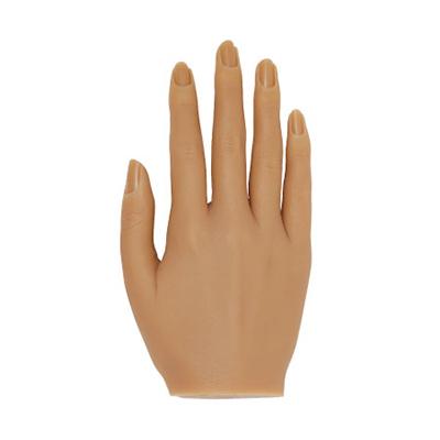 KOKOIST(ココイスト) マイハンドモデル アーモンド 右手 : ネイル