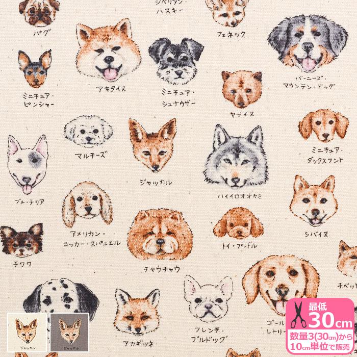 図鑑シリーズ イヌ科 オックス 手書き風 スケッチ ドッグ 犬 犬柄