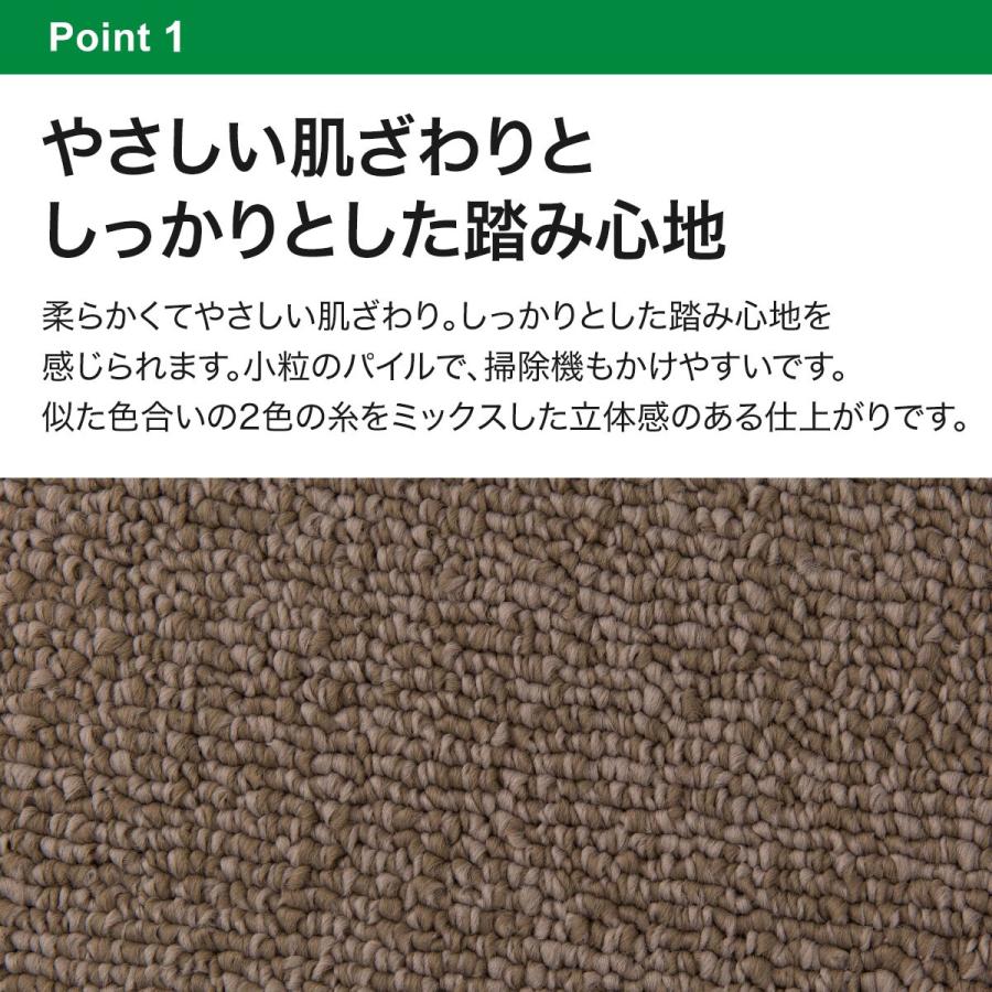 ニトリ（NITORI） 防音・防炎・抗菌防臭・防ダニカーペット(N