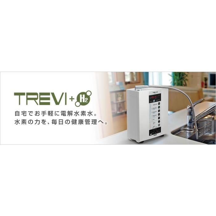 トレビ 次亜塩素酸水（強酸性水） 生成可能 トレビFWH-6000(W) フジ