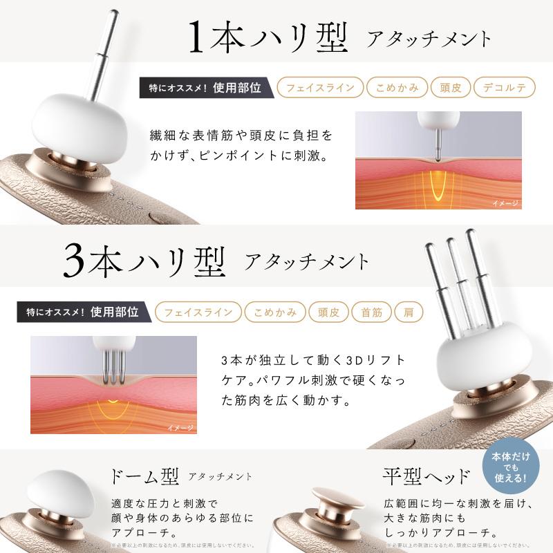 NIPLUX BEGUN ビガン リフトケア 美顔器 マッサージガン フェイスケア