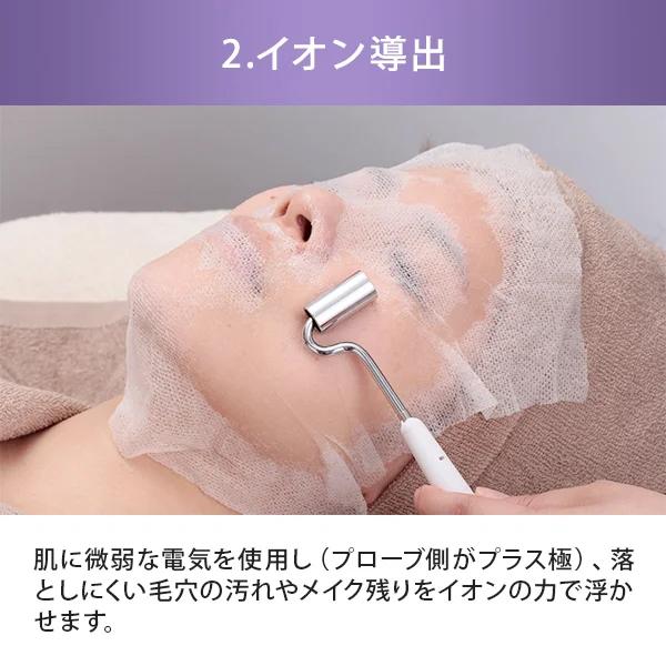 マルチ美顔器 PRO F-302 スクラバー イオン導入 導出 超音波 美容家電