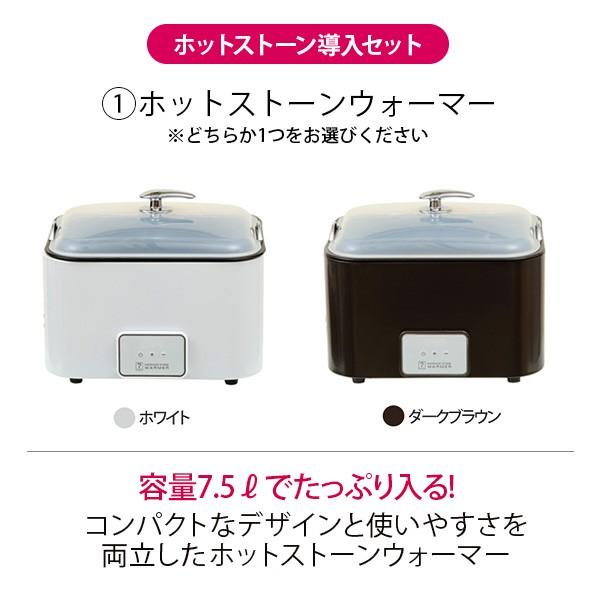 ホットストーン 導入セット ウォーマー ストーン16個 ストーンセラピー