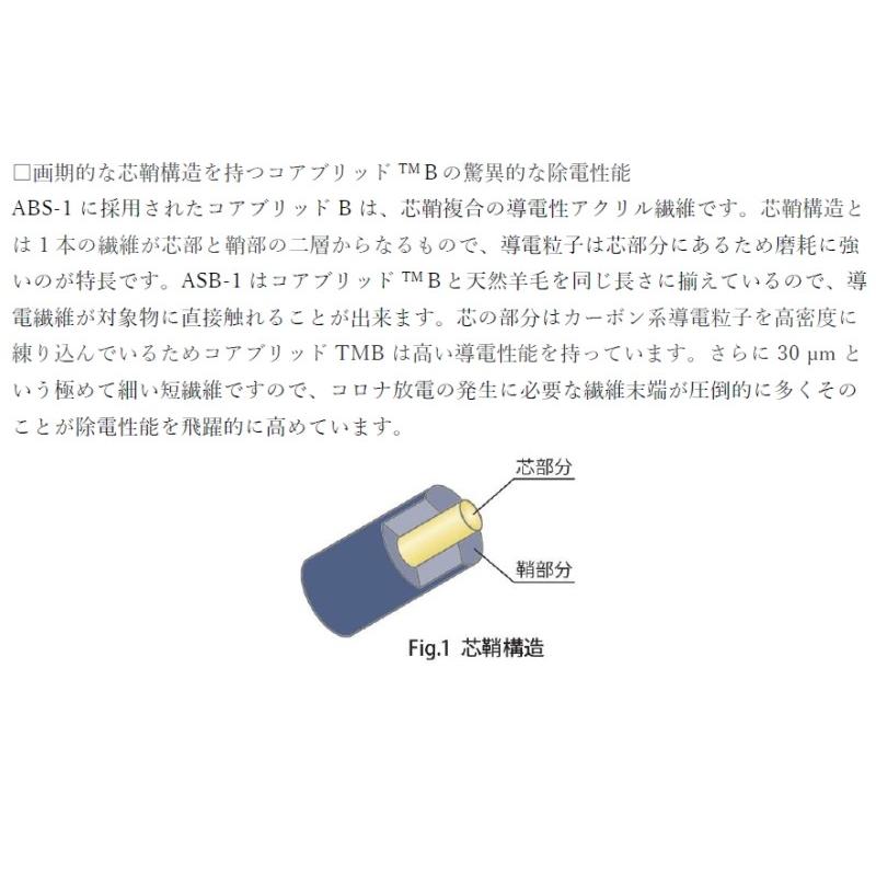 YUKIMU ASB-1 (ユキム・オーディオ用 静電気除去 除電ブラシ) 特典付き