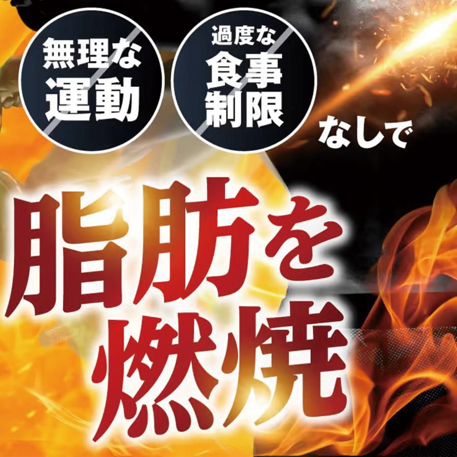 さくらの森 ダイエットサプリ ブラックジンジャー 脂肪燃焼