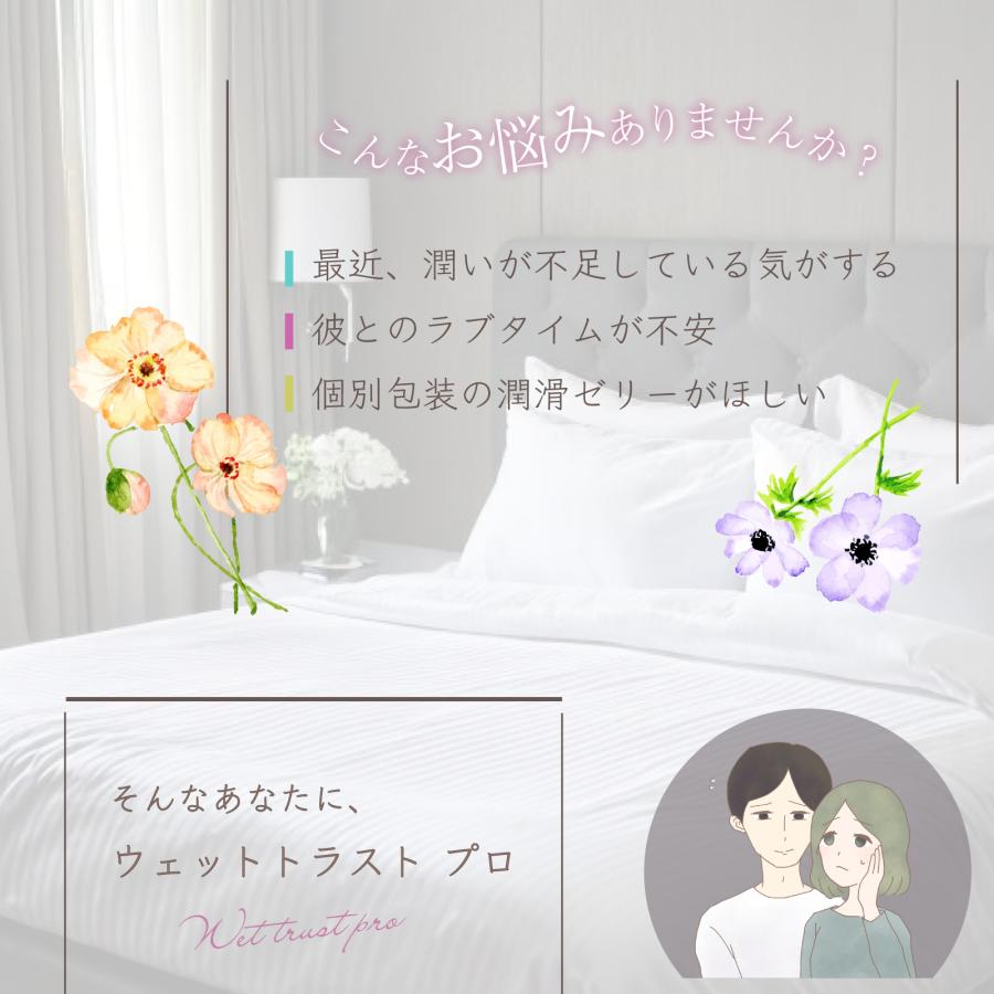 ハナミスイ（hanamisui） 潤滑剤 ウェットトラストプロ 60本セット