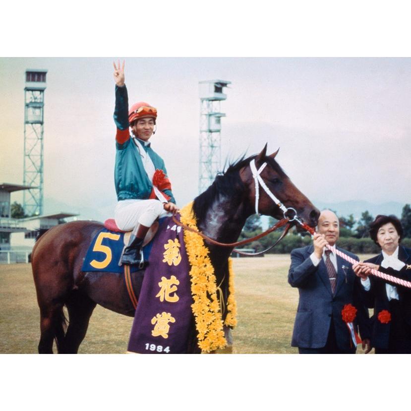 シンボリルドルフ ぬいぐるみ Mサイズ 競馬 アイドルホース 第51回日本