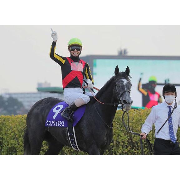 クロノジェネシス ぬいぐるみ Mサイズ 競馬 アイドルホース 第62回宝塚