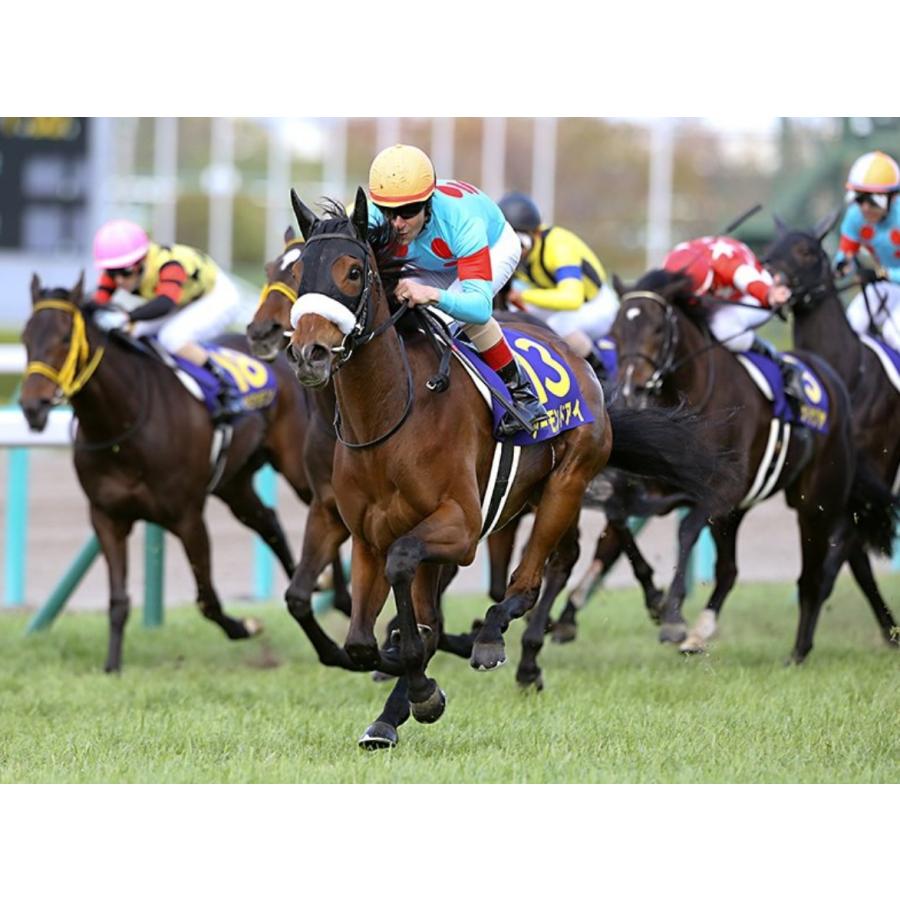 アーモンドアイ（9冠メモリアル） ぬいぐるみ Sサイズ アイドルホース