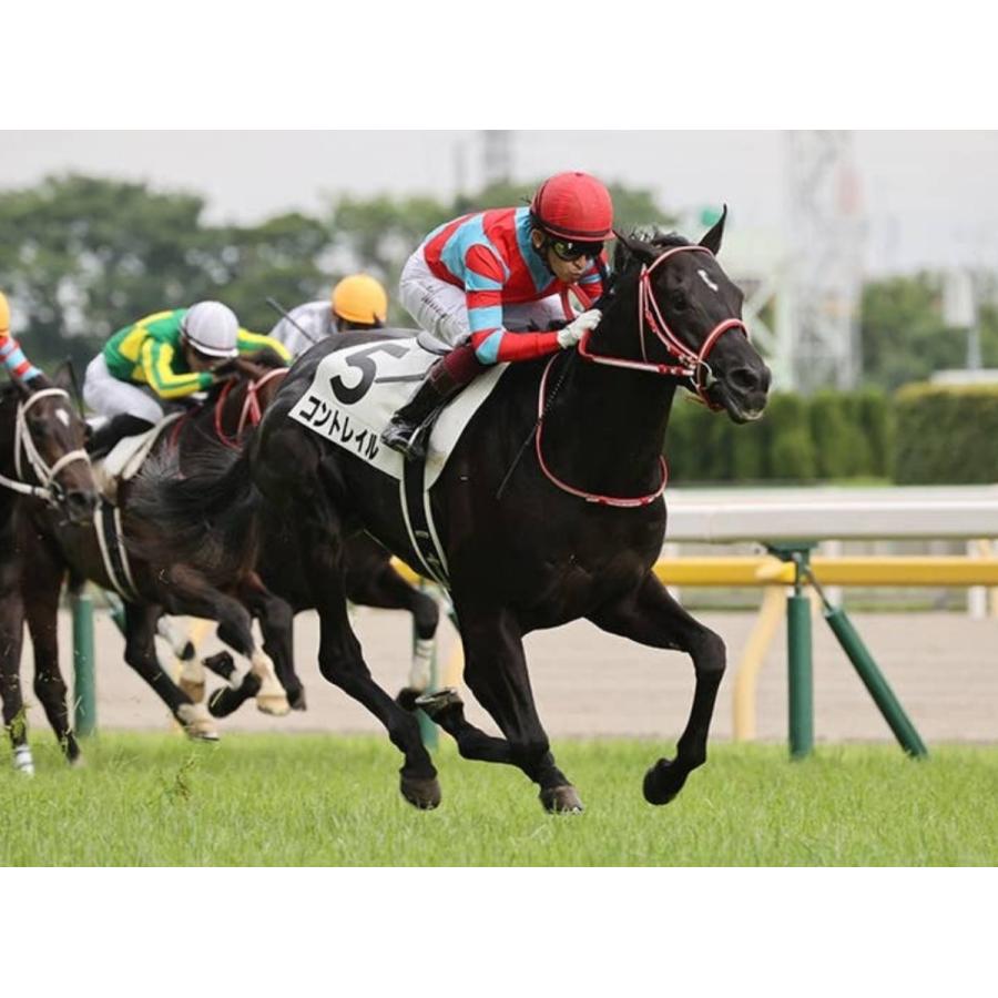 コントレイル ぬいぐるみ Mサイズ アイドルホース 第41回ジャパン