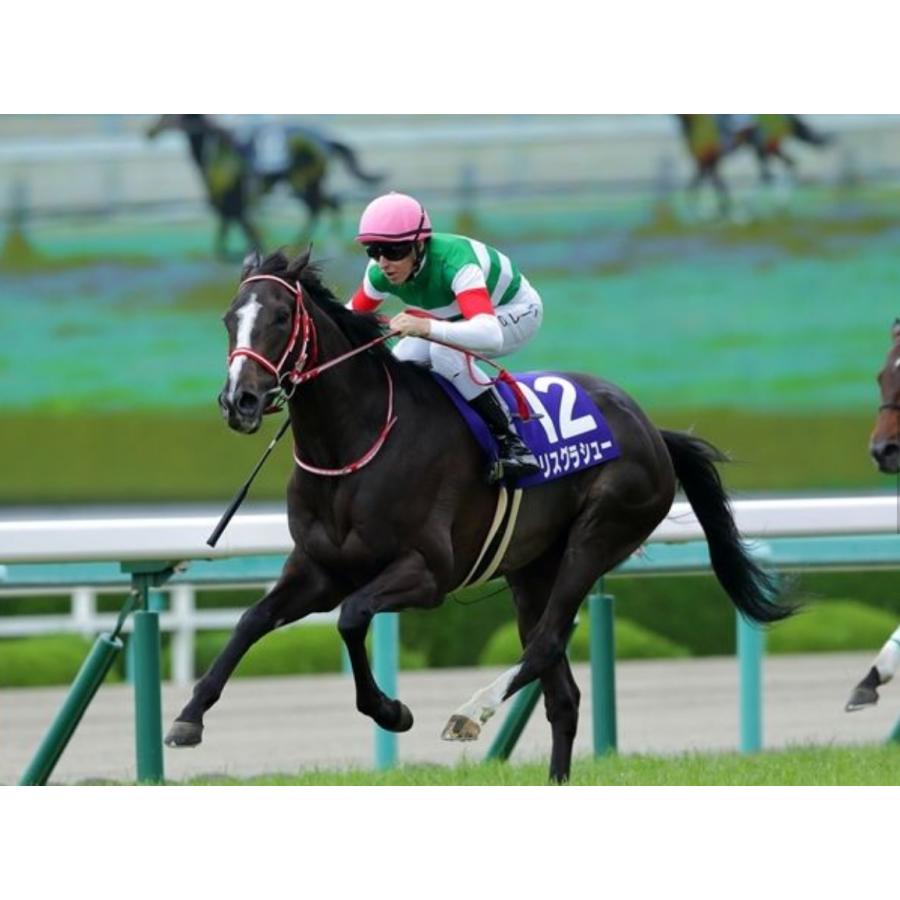 リスグラシュー ぬいぐるみ Sサイズ アイドルホース 第64回有馬記念