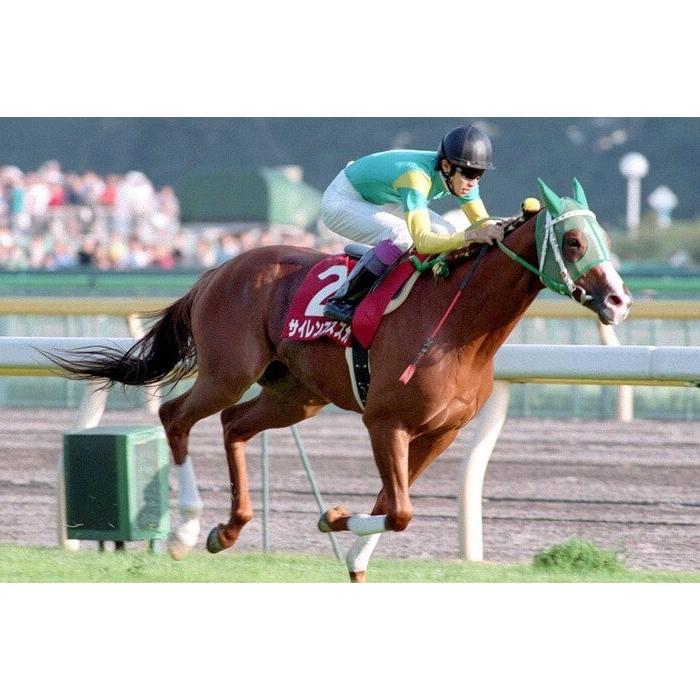 サイレンススズカ ぬいぐるみ くっつきマスコット アイドルホース 競馬