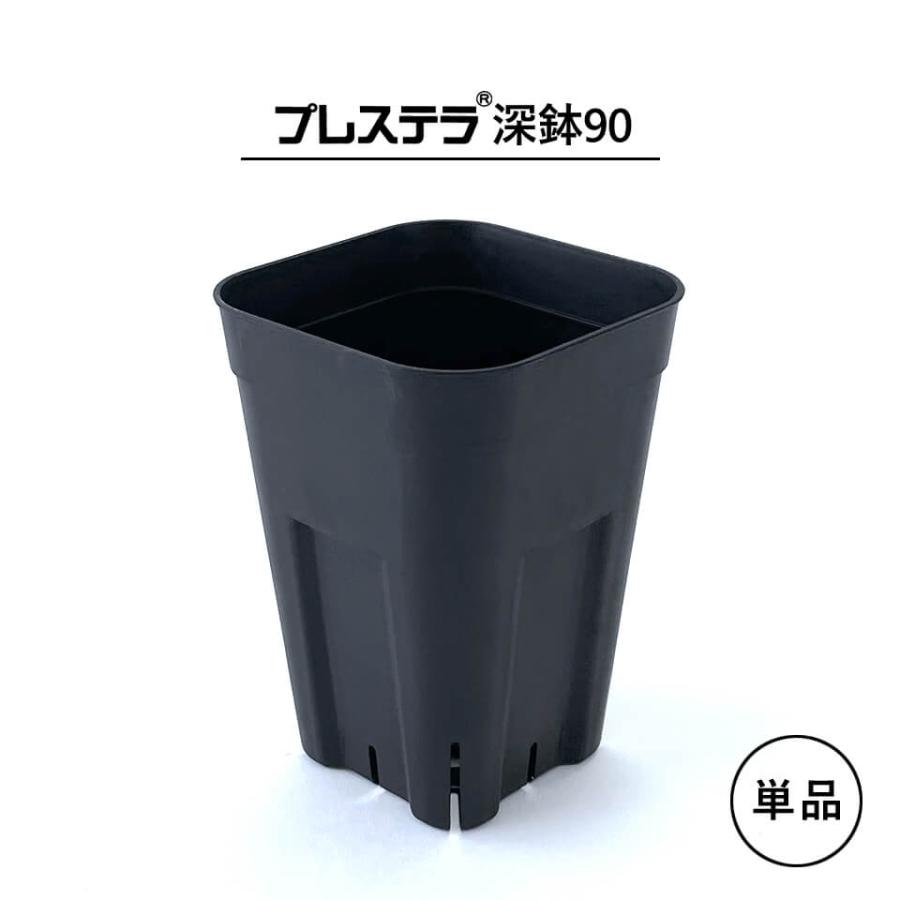 単品】プレステラ【 深鉢90 】 78mm×112mm 2.5号 単品 黒 長鉢 プラ鉢