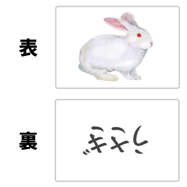 七田式 幼児 文字 言葉 記憶 教材 七田式フラッシュカード〜かな絵