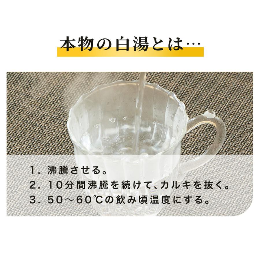 白湯メーカー 電気ケトル 白湯ケトル 温活zen 温活 腸活 さゆ 白湯
