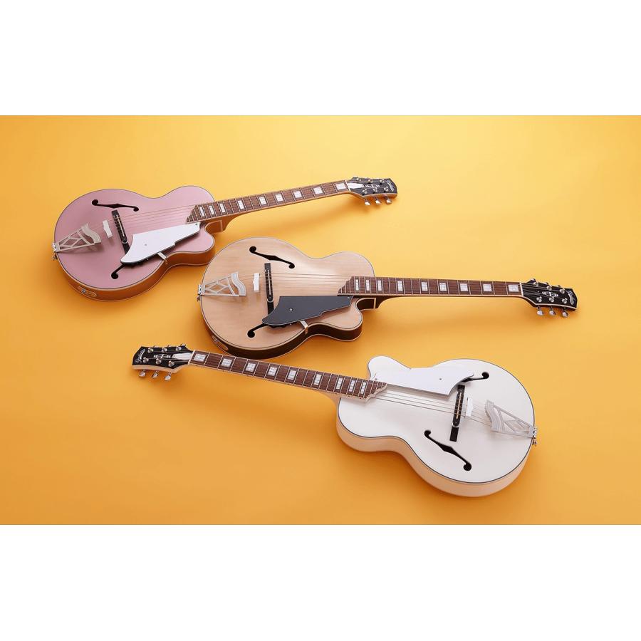 VOX ボックス VGA-5TPS NAMG アコースティックギター初心者12点セット