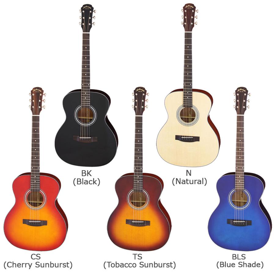 ARIA（アリア） AF-201 アコースティックギター初心者12点セット