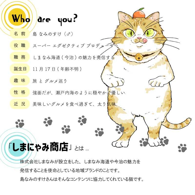 旅ステッカー セット販売 島なみのすけ シール しまにゃみ商店