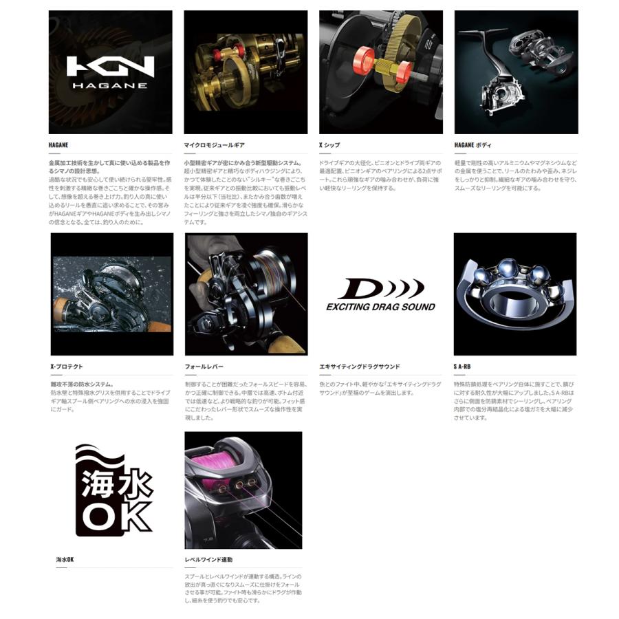 シマノ（SHIMANO） '21 ENGETSU(炎月/エンゲツ) 101PG (ベイトリール