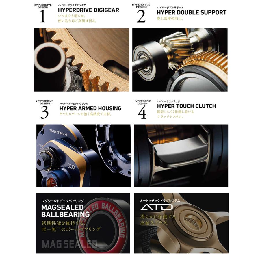 DAIWA（ダイワ） '21 SALTIGA IC(ソルティガ IC) 300-DH (右巻き