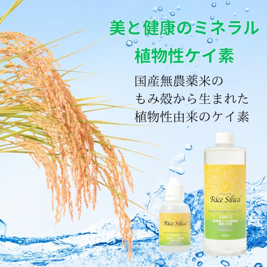 ライスシリカ ケイ素 ケイ素濃縮液 シリカ シリカ濃縮液 シリカ水