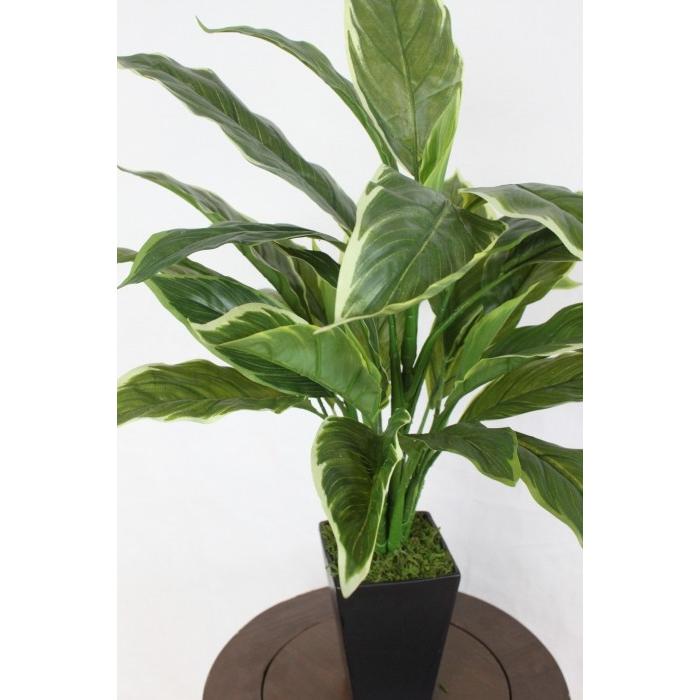 観葉植物 造花 リアルタッチフォスタの鉢植え60 フ2877 CT触媒 人工