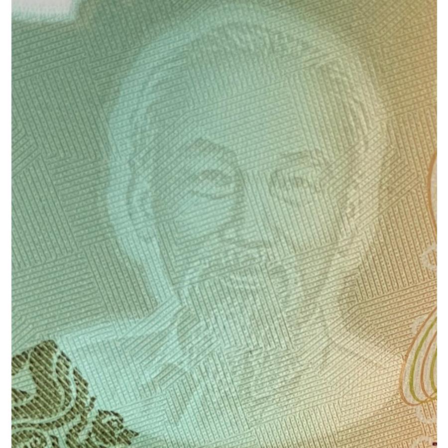 保証書付】500000ベトナムドン紙幣5枚 : 銀貨鉄道999ストア ヤフー店