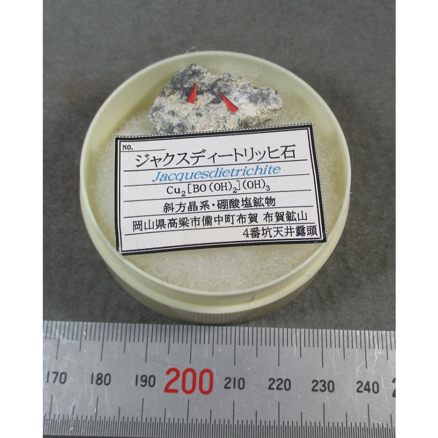 JACQUSEDIETRICHITE(ジャクスデートリッヒ石)岡山県布賀鉱山066