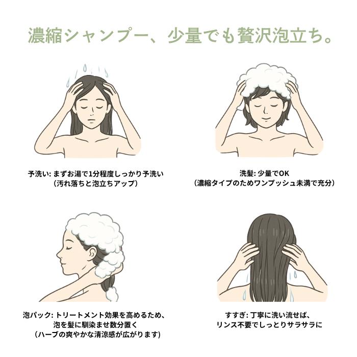 SUN NAHORU（サンナホル） トリートメント シャンプー 300mL