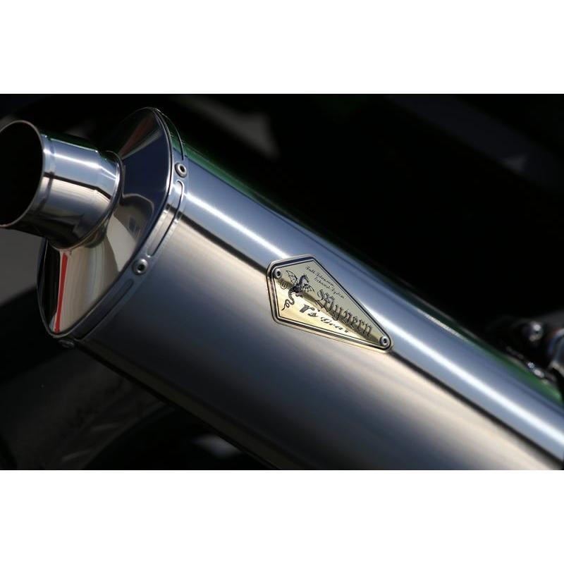 アールズギア Kawasaki Ninja ZX-14R('16〜)用 ワイバン Twin & Slip