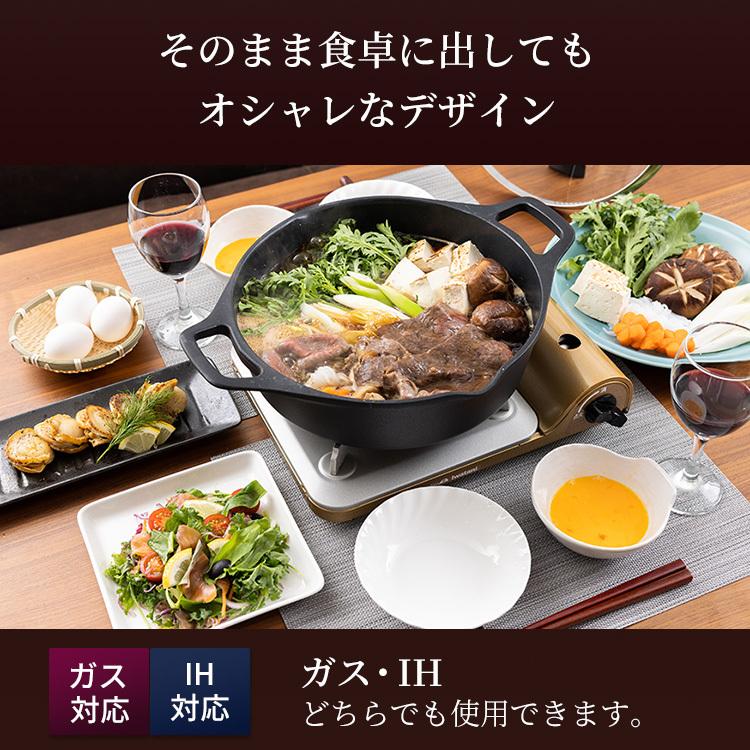 T-fal（ティファール） キャストライン アロマ プロ シャローパン 両手