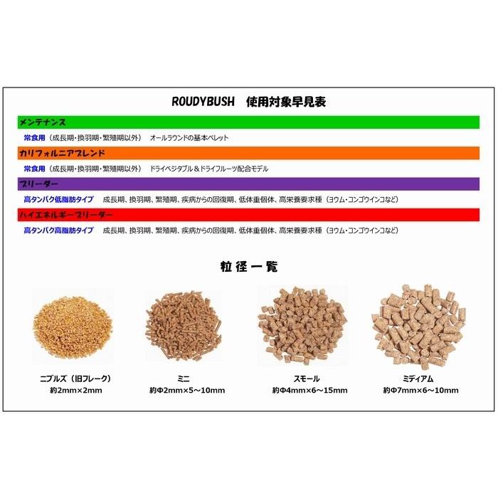 Roudybush（ラウディブッシュ） デイリーメンテナンス ミニ 1.25kg