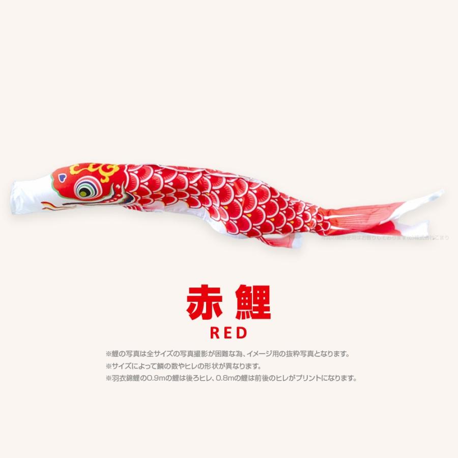 こいのぼり 単品 羽衣錦鯉 3m 単品鯉 : 節句&ギフト専門店 ぷりふあ