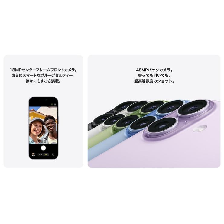 iPhone 17 「新品・未開封品」 SIMフリー 256GB セージ : Quality Shop
