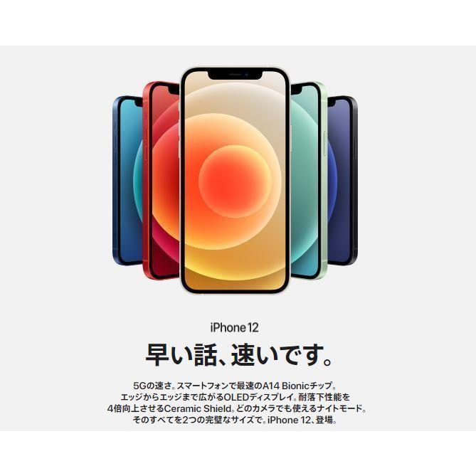iPhone 12 「 新品 未使用品 」SIMフリー iPhone12 64GB Black