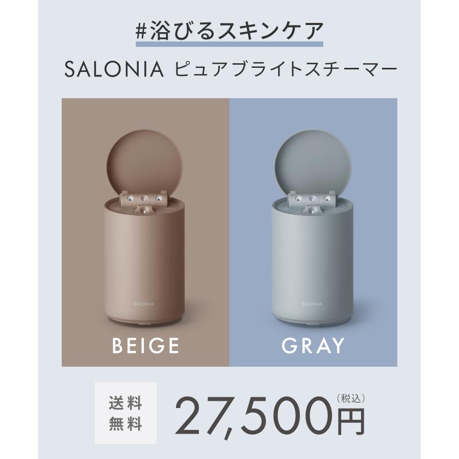 SALONIA（サロニア） スチーマー 美顔器 ピュアブライト スチーマー